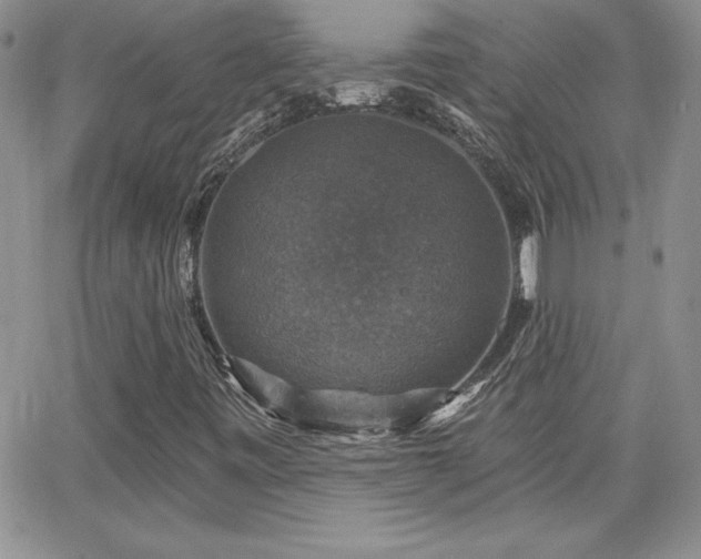 X0000066511443200603201246