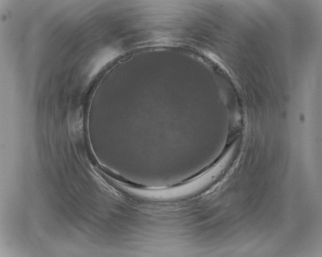 X0000066511450200603201246
