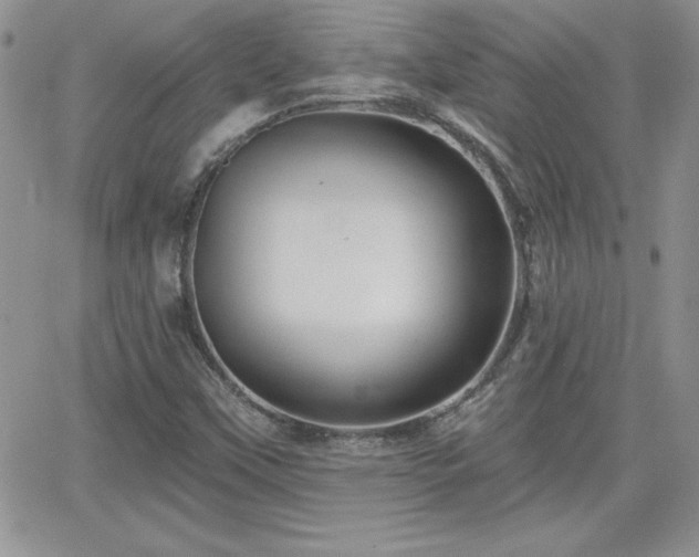 X0000066511451200603201246