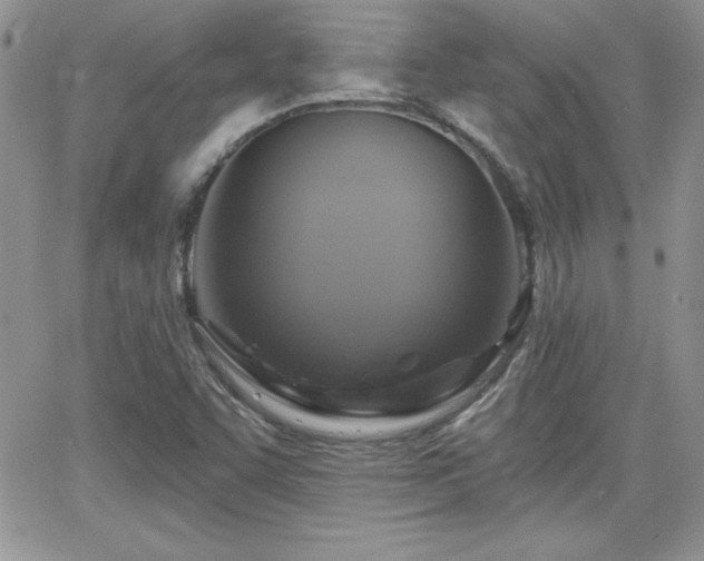 X0000066511455200603201246