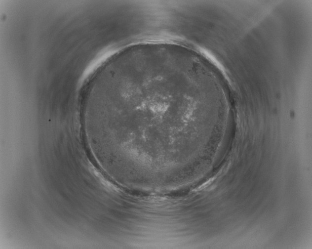 X0000066511456200603201246