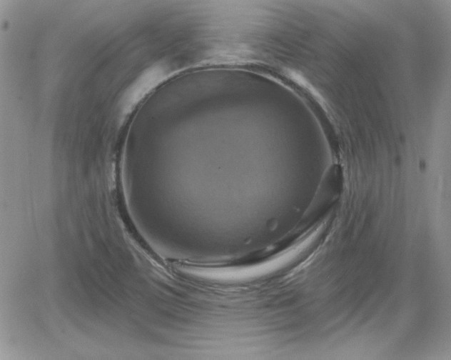 X0000066511459200603201246