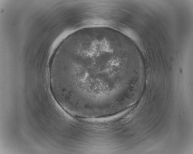 X0000066511472200603201246