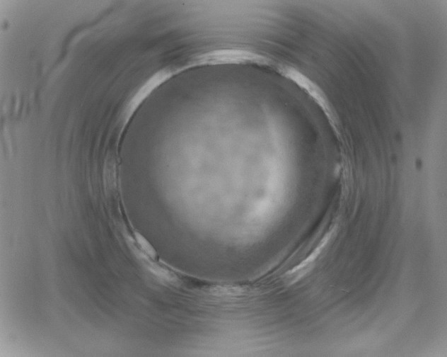 X0000066511473200603201246