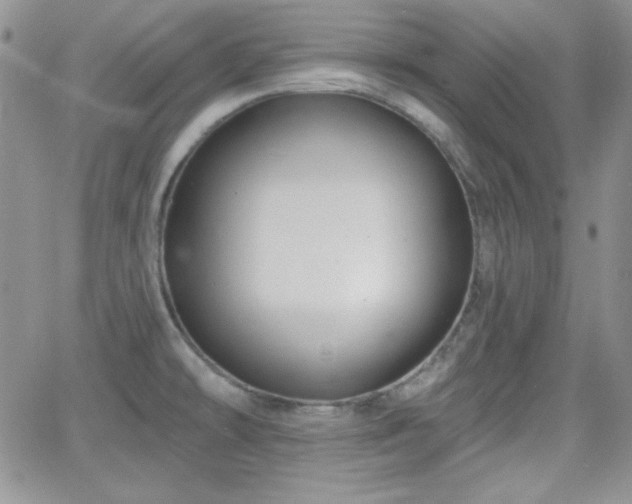 X0000066511478200603201246