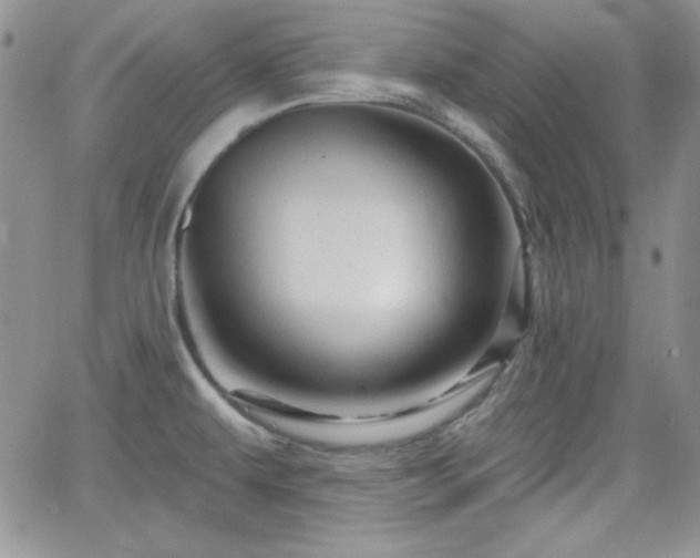 X0000066511479200603201246