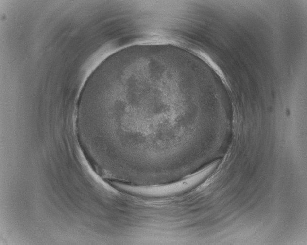X0000066511484200603201246