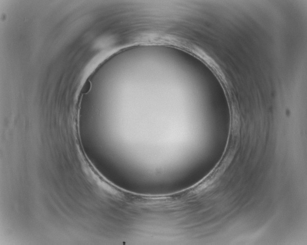 X0000066511486200603201246