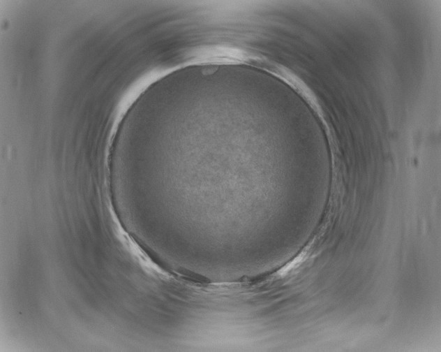 X0000066511488200603201246