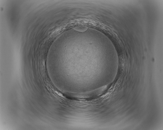 X0000066511489200603201245