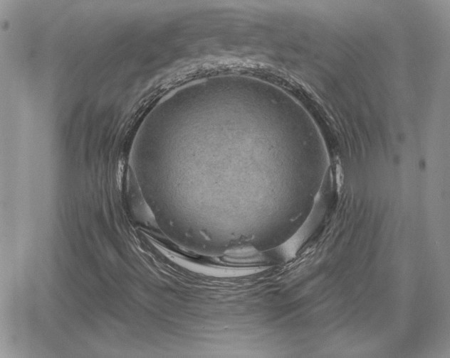 X0000066511492200603201245