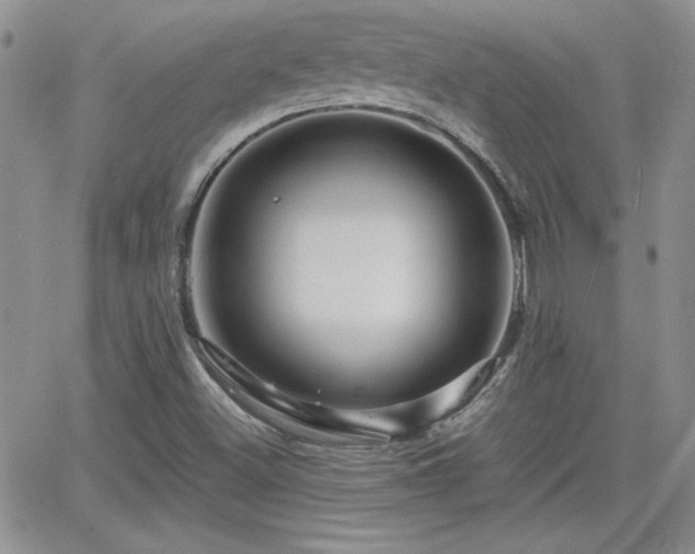 X0000066511500200603201245