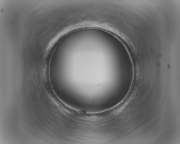 X0000066511502200603201245