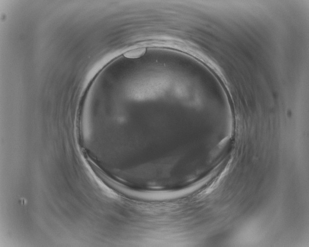 X0000066511533200603201246