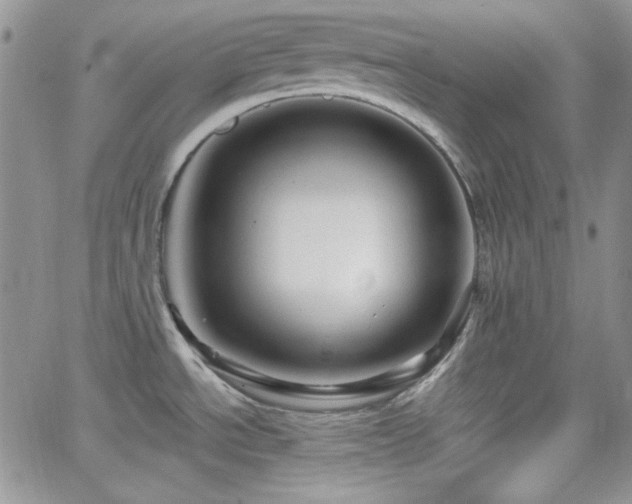 X0000066511534200603201246