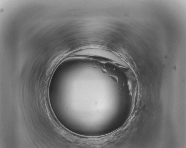 X0000066510001200603241318