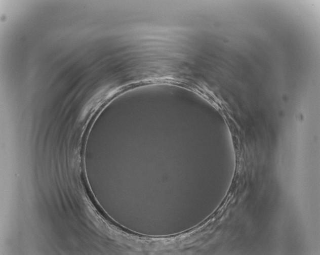 X0000066510002200603241318