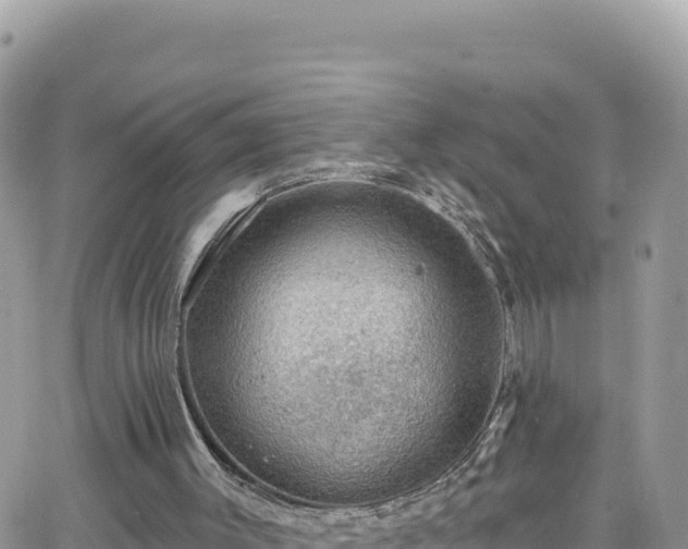 X0000066510003200603241318