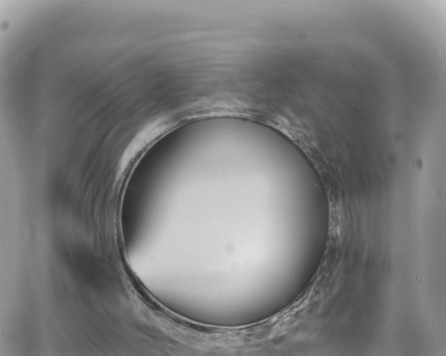 X0000066510004200603241318