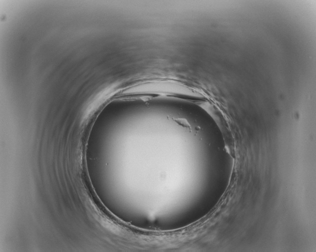 X0000066510005200603241318