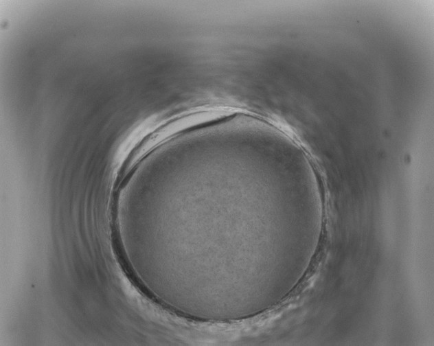 X0000066510007200603241318