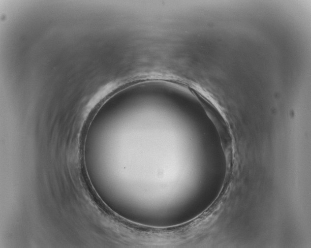 X0000066510008200603241318