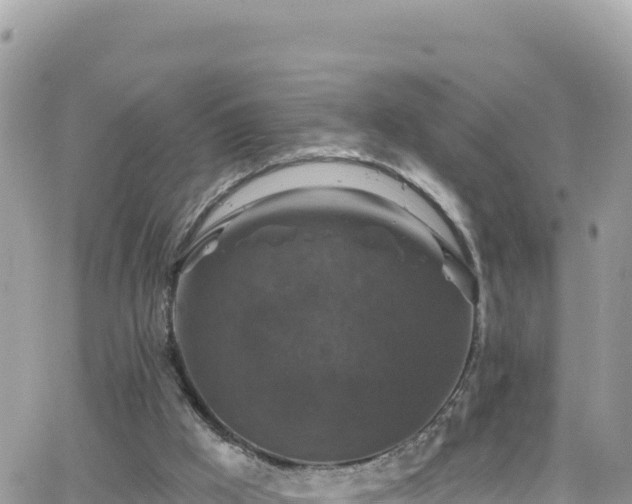 X0000066510009200603241318