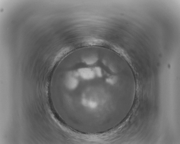 X0000066510010200603241318