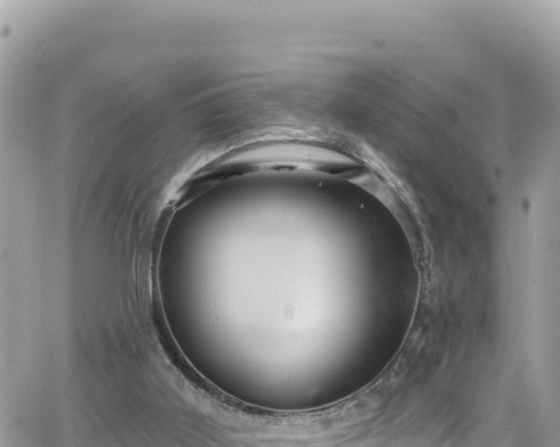 X0000066510011200603241318