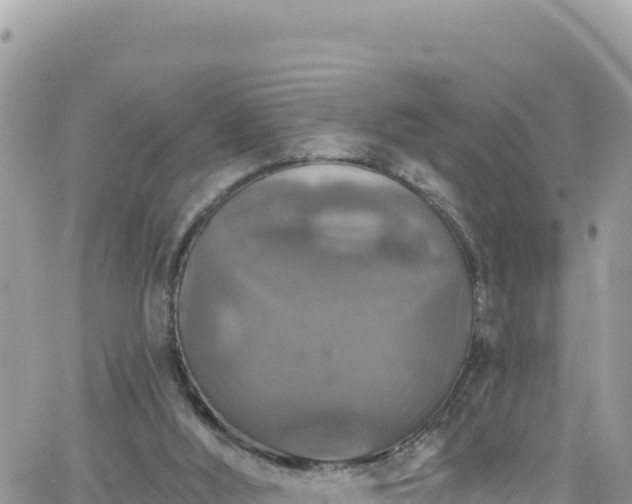 X0000066510012200603241318