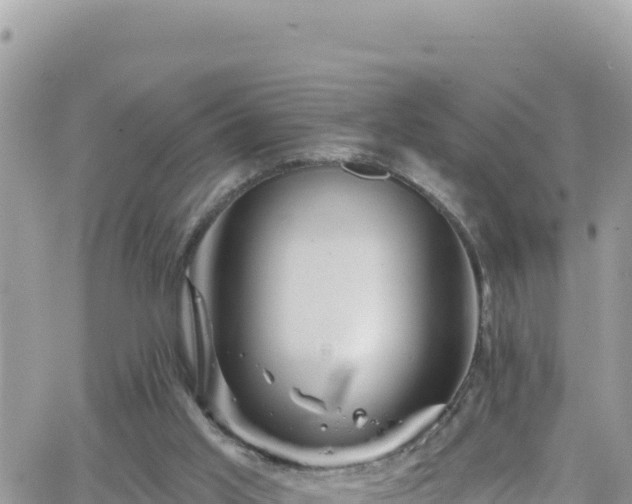 X0000066510013200603241318