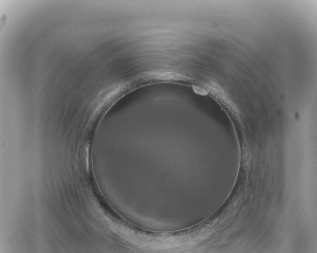 X0000066510014200603241318