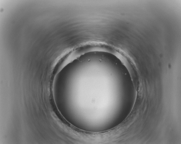 X0000066510015200603241318