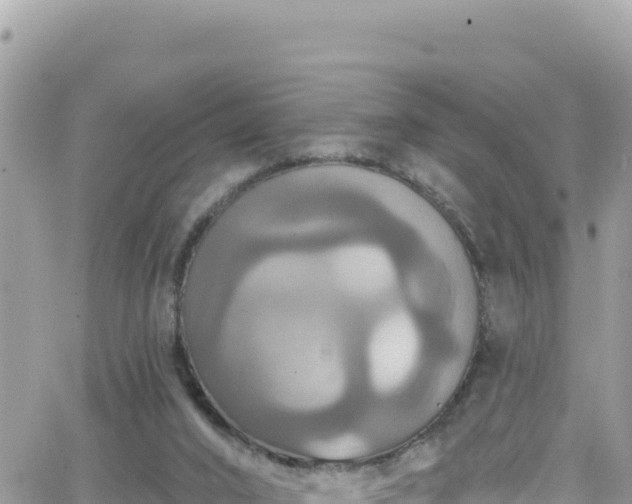 X0000066510016200603241318