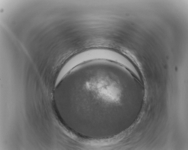 X0000066510017200603241318