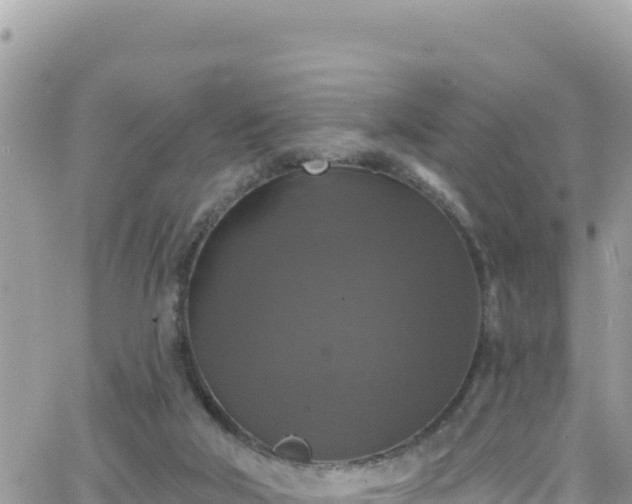 X0000066510018200603241318