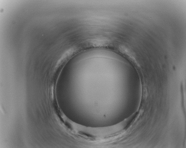 X0000066510019200603241318