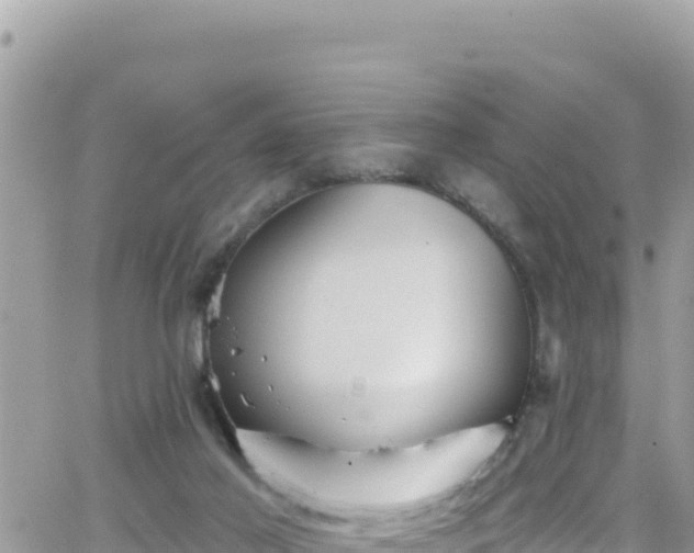 X0000066510021200603241318