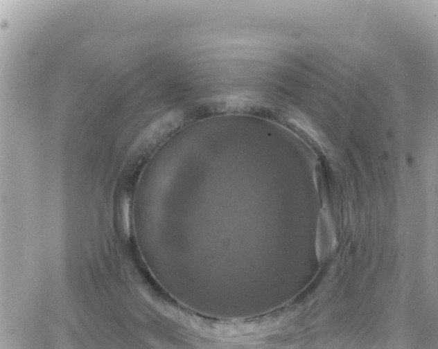 X0000066510022200603241318