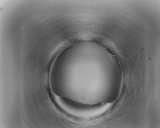 X0000066510023200603241318