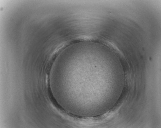 X0000066510024200603241318