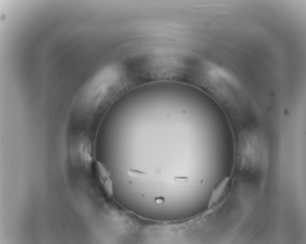 X0000066510025200603241318