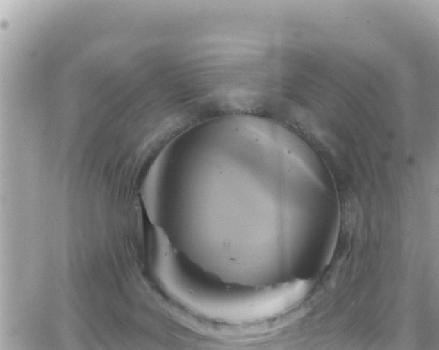 X0000066510027200603241318