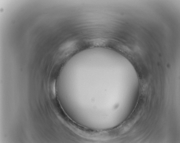 X0000066510028200603241318