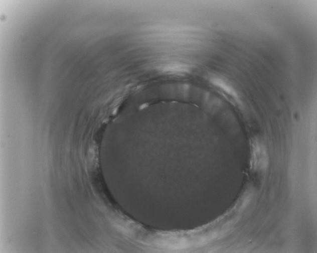 X0000066510029200603241318