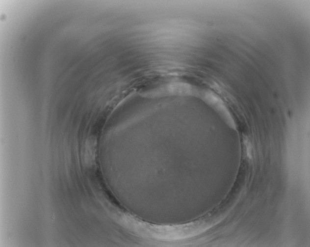 X0000066510030200603241318