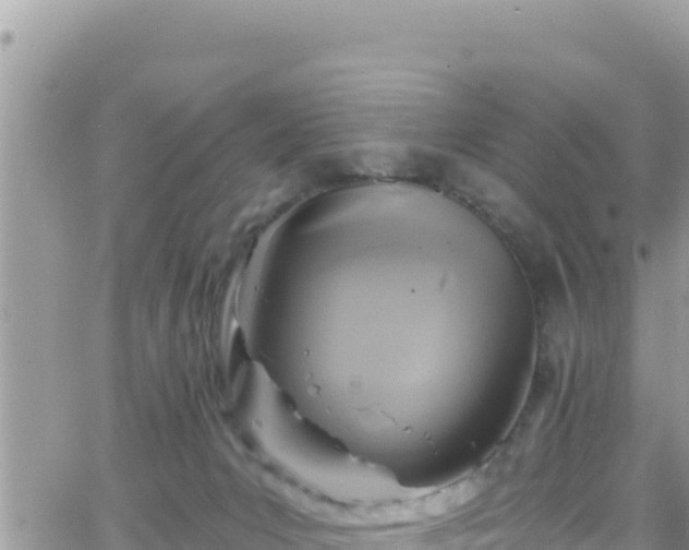 X0000066510031200603241318