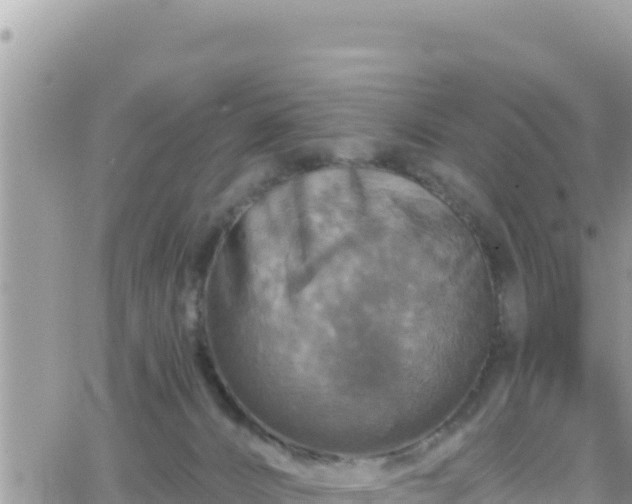 X0000066510032200603241318