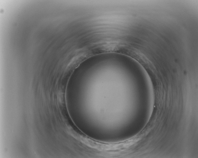 X0000066510035200603241318