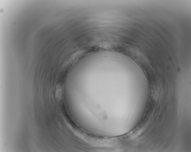 X0000066510036200603241318